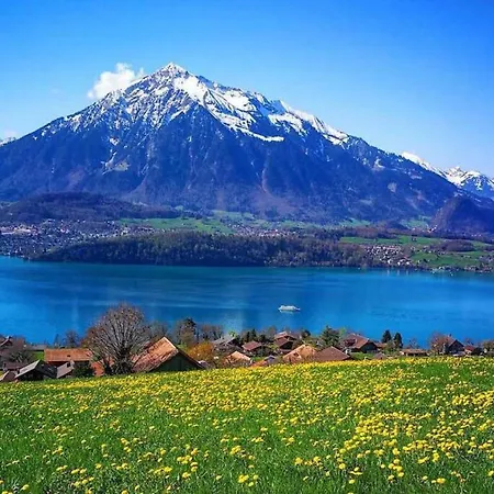 Swisshut Stunning Views Alps - Apart. Aeschlen Up * Sigriswil