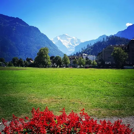 Thun Alps Scenic Views And Concierge By Swisshut 公寓