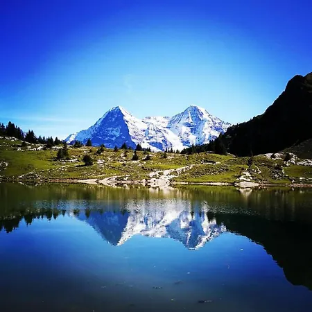 Apartment Swisshut Stunning Views Alps - Apart. Aeschlen Up