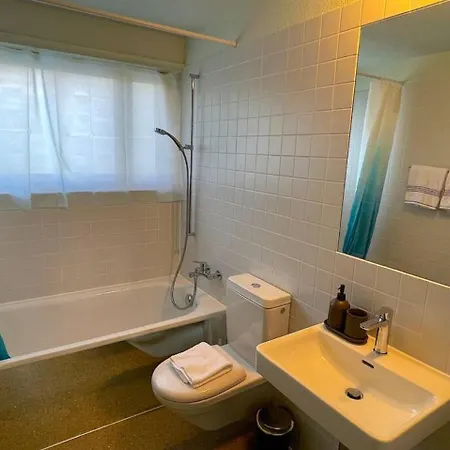 公寓 Thun Alps Scenic Views And Concierge By Swisshut 斯格里维尔