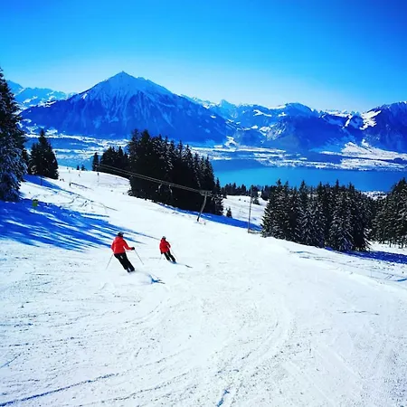 Swisshut Stunning Views Alps - Apart. Aeschlen Up