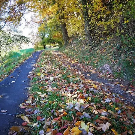 Lake Thun Alps Scenic Views And Concierge By Swisshut شقة سيغريسويل