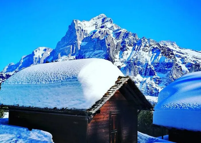 Apartment Thun Alps Scenic Views And Concierge By Swisshut Sigriswil