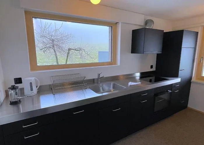 Apartment Thun Alps Scenic Views And Concierge By Swisshut