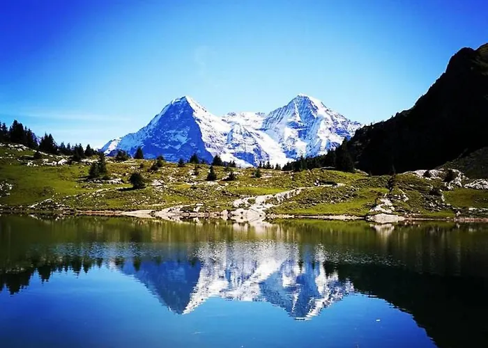 Lejlighed Thun Alps Scenic Views And Concierge By Swisshut