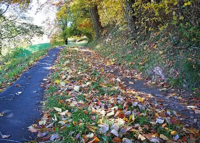 Thun Alps Scenic Views And Concierge By Swisshut Lejlighed Sigriswil