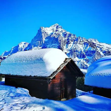 Διαμέρισμα Swisshut Stunning Views Alps - Apart. Aeschlen Up Sigriswil